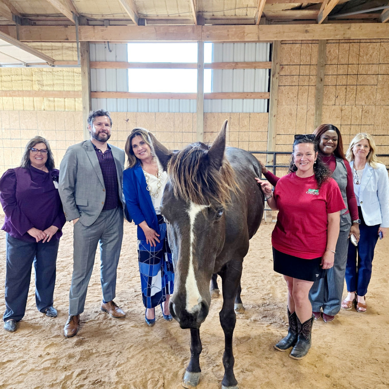 people with horse